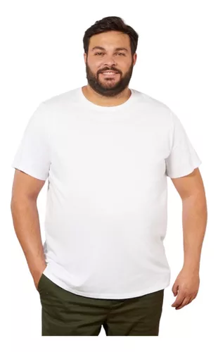 Camiseta Masculina Plus Size Básica em Malha Fria Tamanhos até G3 - Diversas Cores